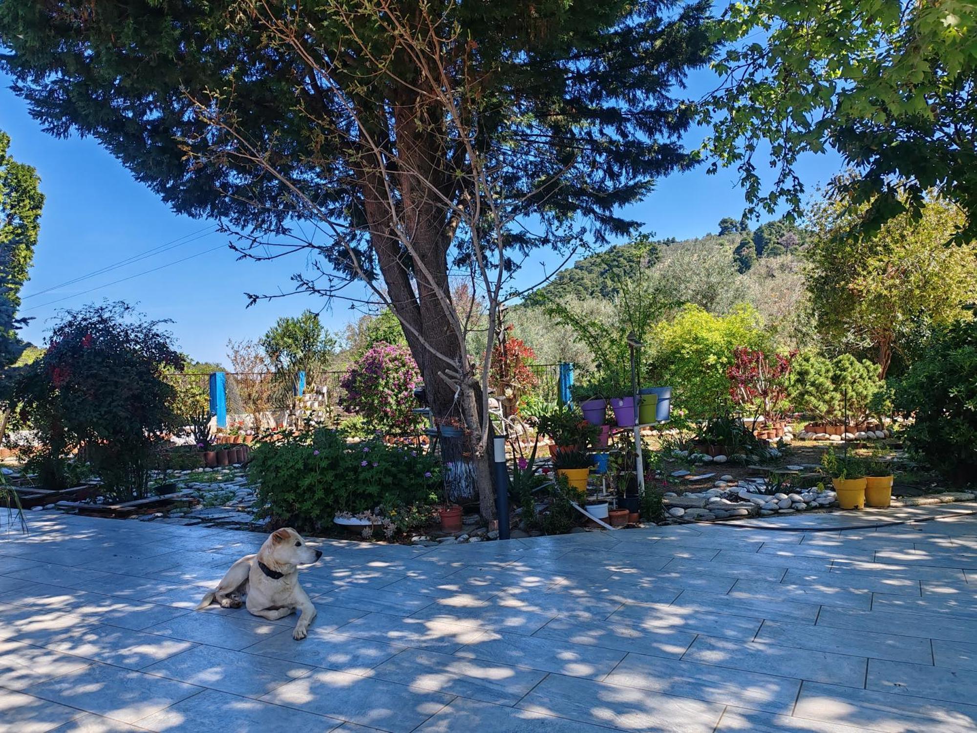 Εξοχική Κατοικία - Cottage Τίνα Líri Exteriör bild
